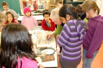 Primary students workshop