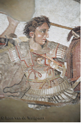 Alexander.png